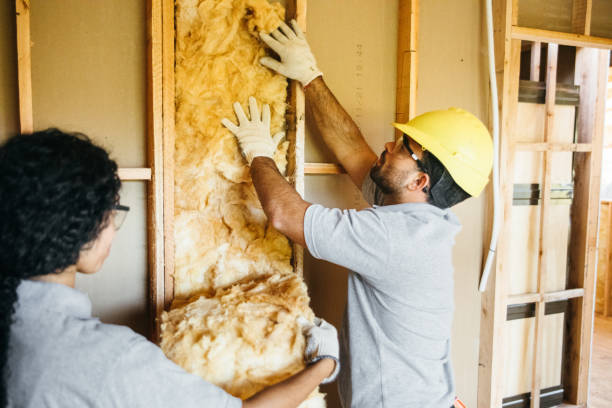 Best Professional Insulation Contractor  in Burnettown, SC