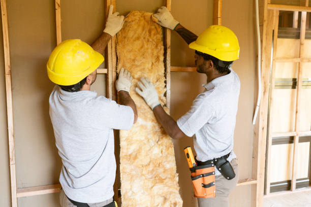 Best Residential Insulation Services  in Burnettown, SC