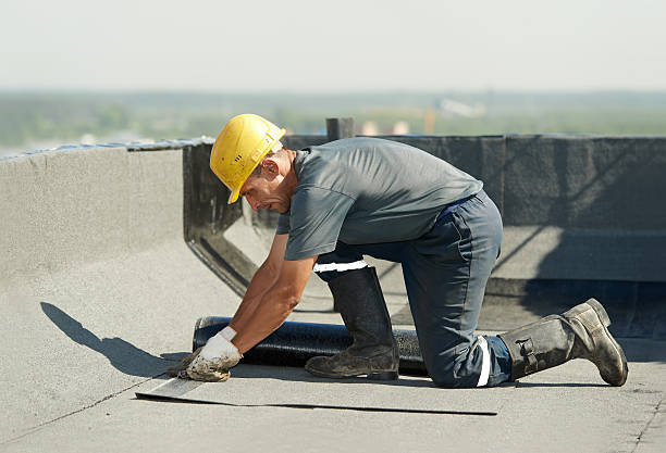 Best Home Insulation Services  in Burnettown, SC