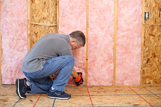 Best Blown-in Insulation  in Burnettown, SC