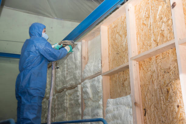 Best Residential Insulation Services  in Burnettown, SC